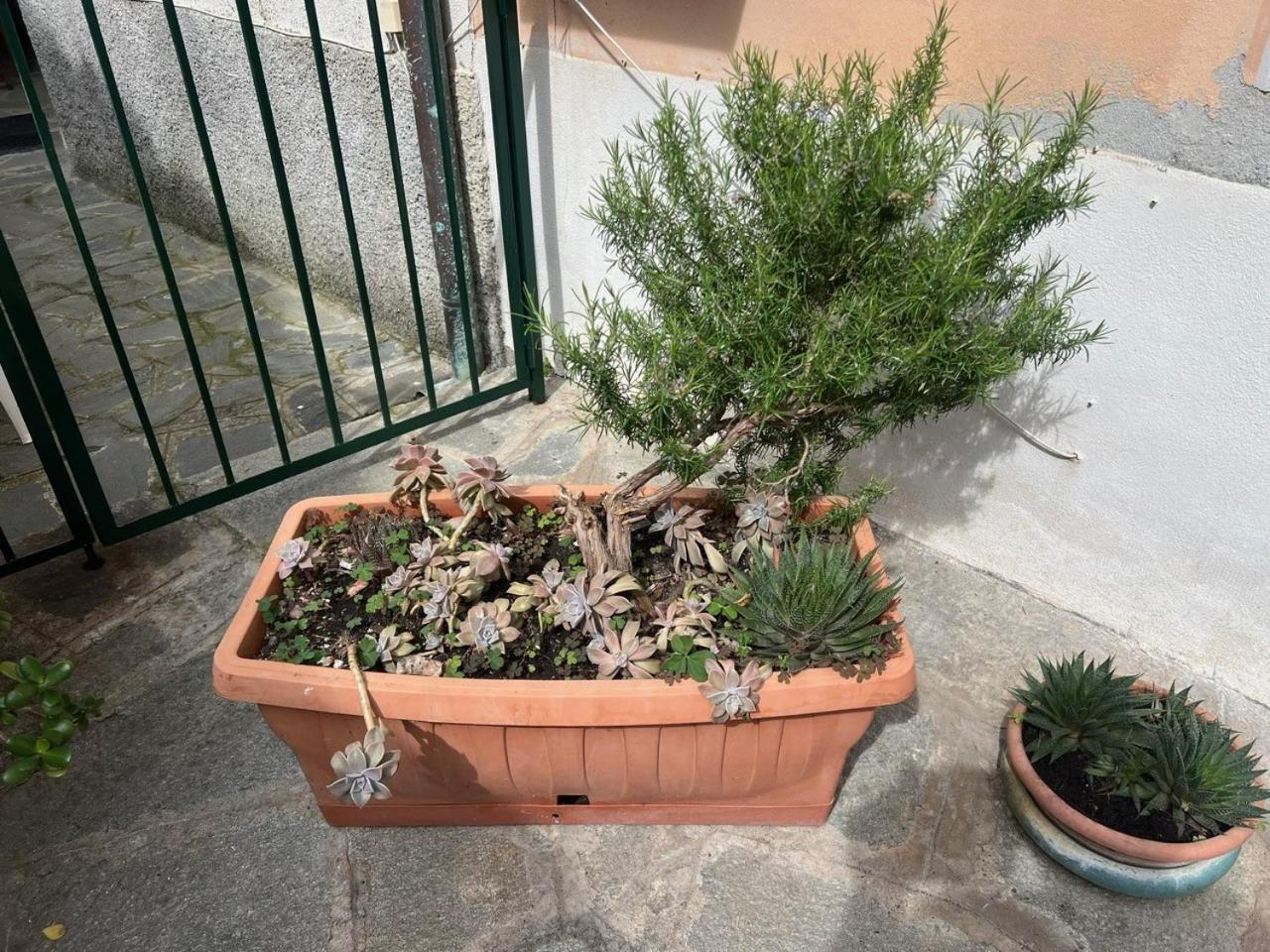 Appartamento Vicino Al Mare Moneglia Extérieur photo